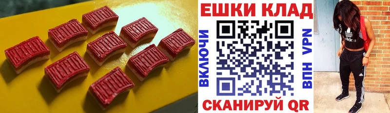 Ecstasy Philipp Plein  Павловск 
