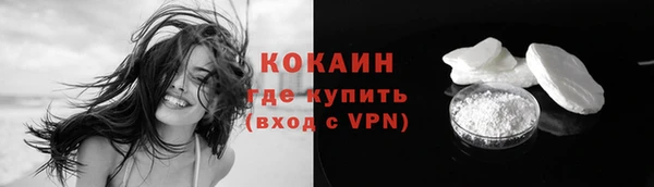 дмт Богородск