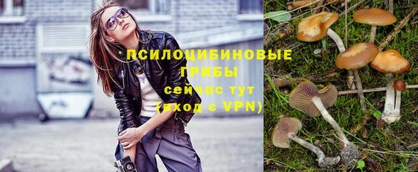кокс Богородицк
