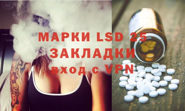 хмурый Белокуриха